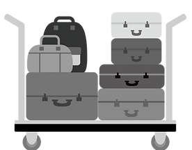 DANDY PORTER_製品ページイラスト-WAN荷物.png
