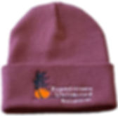 Maroon Winter Hat (full logo)