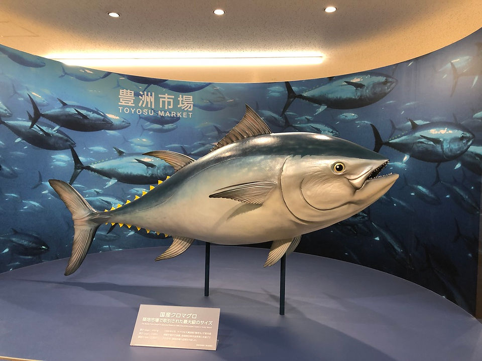 Toyosu new fish market in Tokyo
