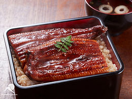 JCI_unagi_14.jpg