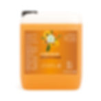 Miniatura: Shampoo Capilar Caléndula