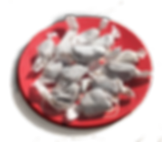 candy plate.png