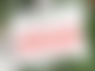 Fermeture exceptionnelle de la Mairie