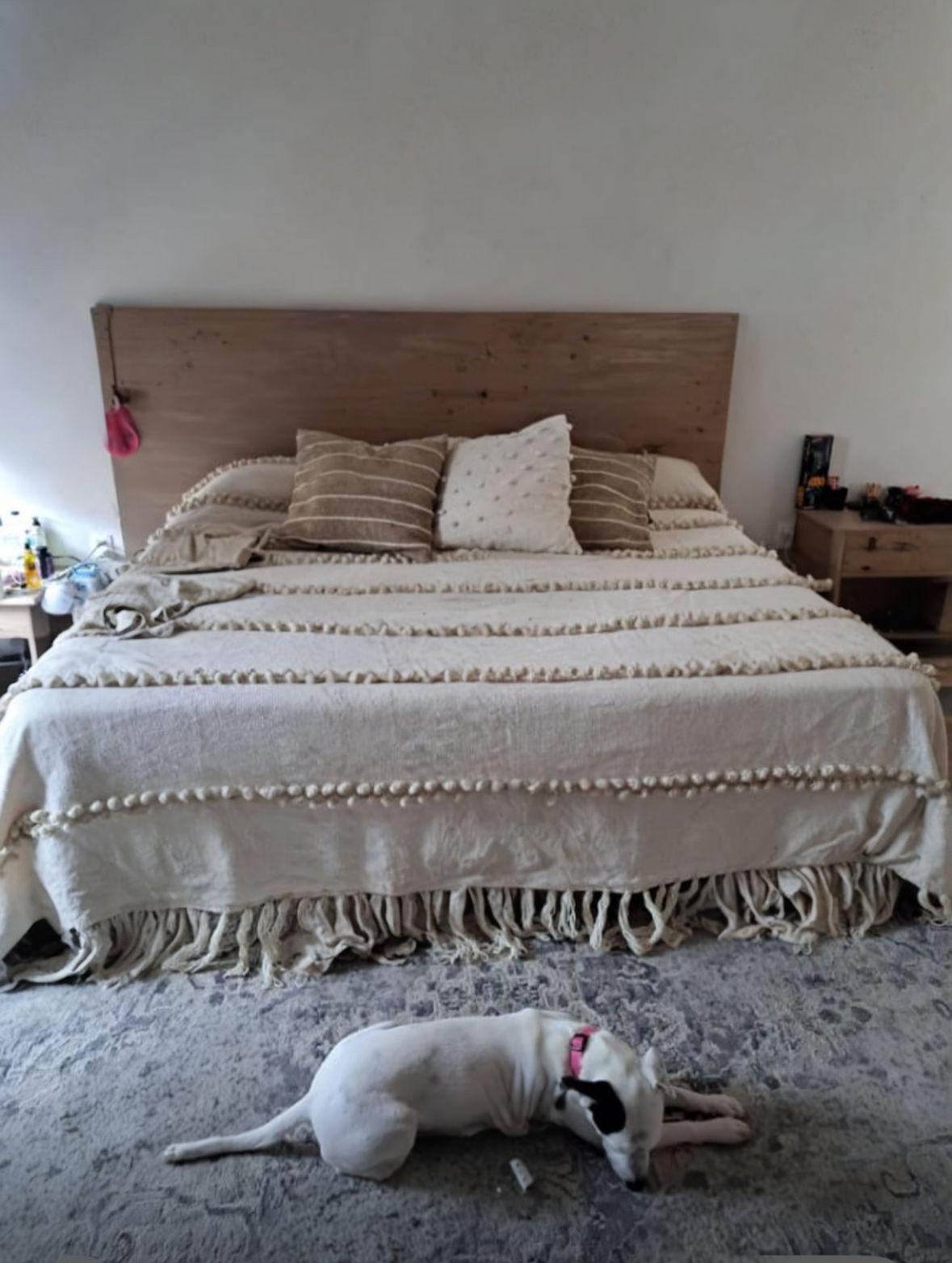 Couverture Arena Suave