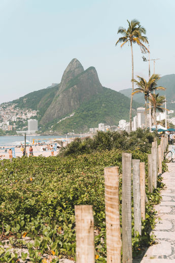 _DSC7877-Editar copiar.jpg