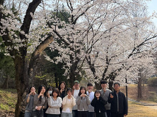 벚꽃보다 따스한 우리 연구실의 봄 🌸🛰️