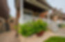 ah_0040_edited.jpg