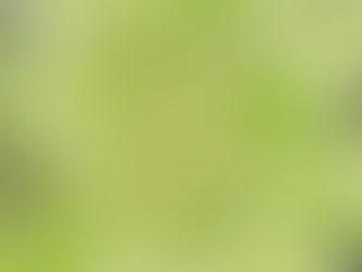 💚 Énergies du 5 au 11 Janvier 2026 (Portail énergétique 1111) : Relâchement des tensions, Assainissement des Relations et Renforcement 💚