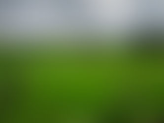 Soin de Vie(s): Travail dans les rizières du Japon en 1403 : Se Sacrifier pour Servir le Divin...