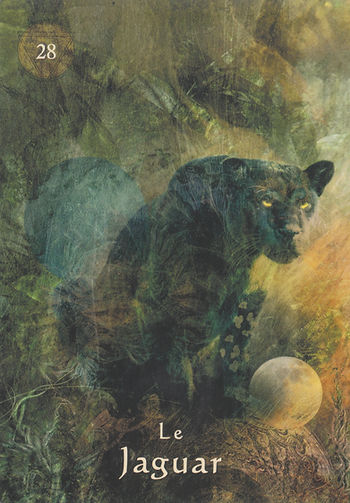 Carte de L'Oracle du Chaman Mystique, d'Alberto Villoldo - Energies du 19 au 25 avril 2021 (Portail 22-4) : Oser se laisser toucher pour sortir de l'ombre