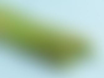 臭い尿でチェック！アスパラガスで遺伝子検査