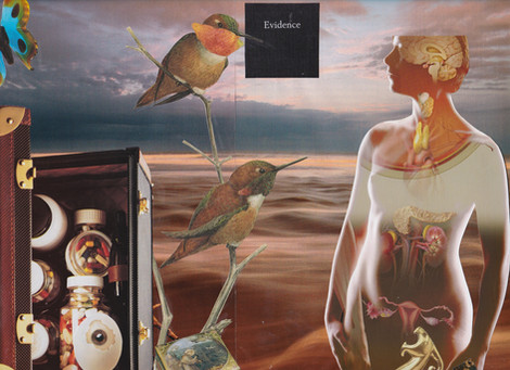 Collage showing figures of a woman, birds, and pills against an ocean background