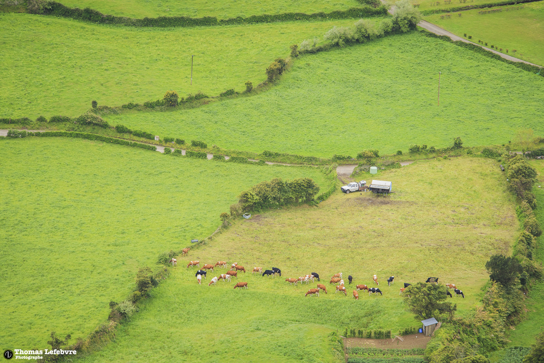 Sao Miguel, Azores. PT