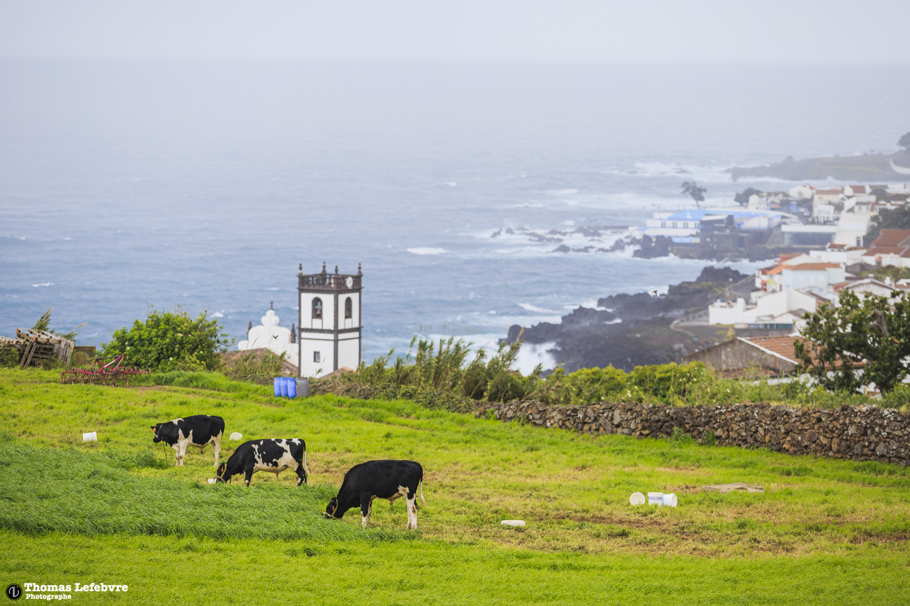 Sao Miguel, Azores. PT