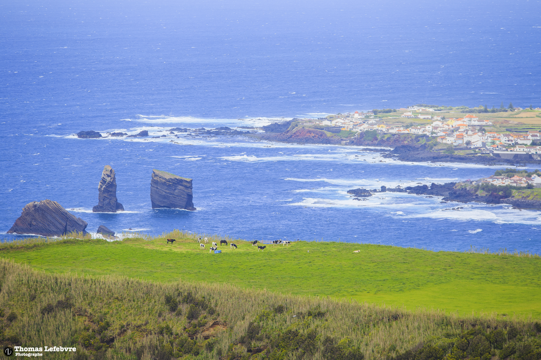 Sao Miguel, Azores. PT