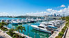 Marina with boats, bridge, and city skyline