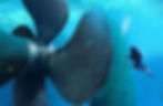 Diver inspecting ship propeller underwater