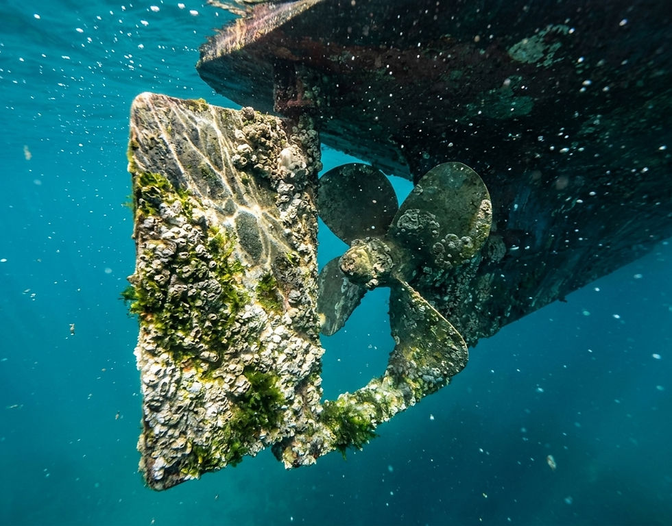 Boat propeller and rudder covered in marine growth underwater.