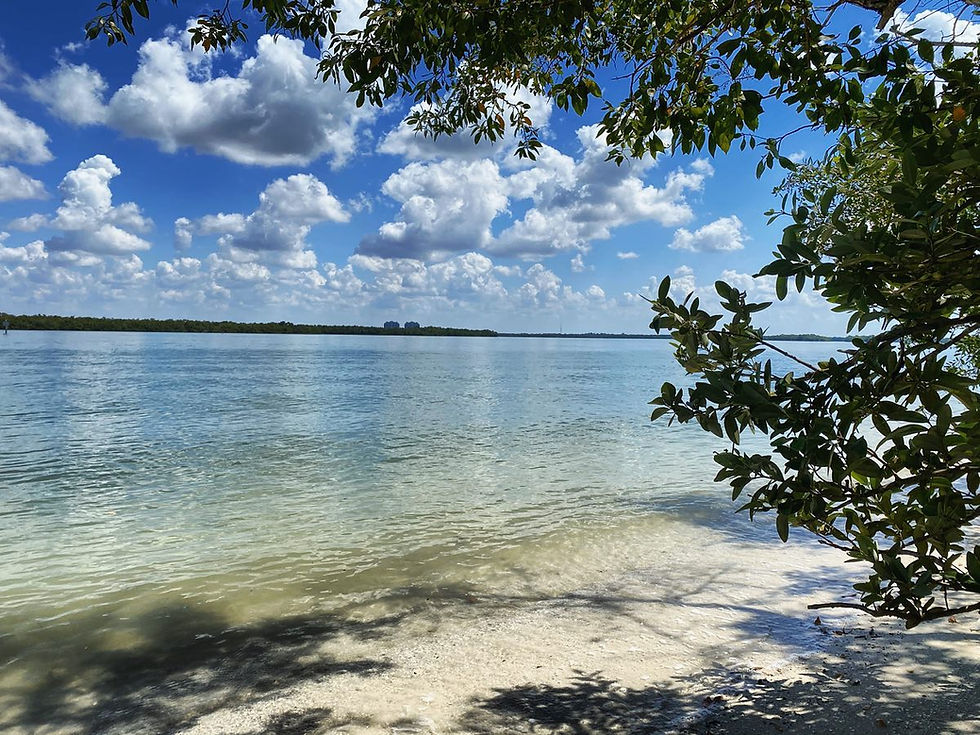 Bonita Beach
