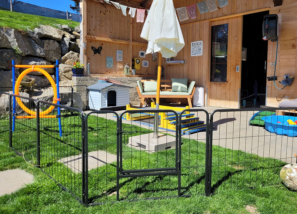 Schönwetter Welpengarten