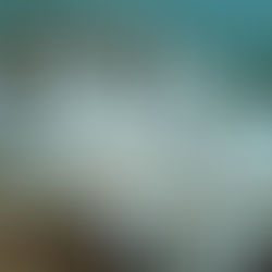 [10대 뉴스] 사라지는 해양 생명, 한반도 전체에 충격 가져와