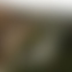 기후재난리포트12 ⑥ 4대강 재자연화 | 과학으로 입증된 재자연화, 복원에 따른 보상과 지원 병행해야