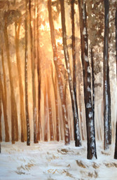 christian-laloux/peinture/beaux-arts/decoration/paris/tuileries/chaises/fermob/neige/Louvre/acrylique/toile.jpeg