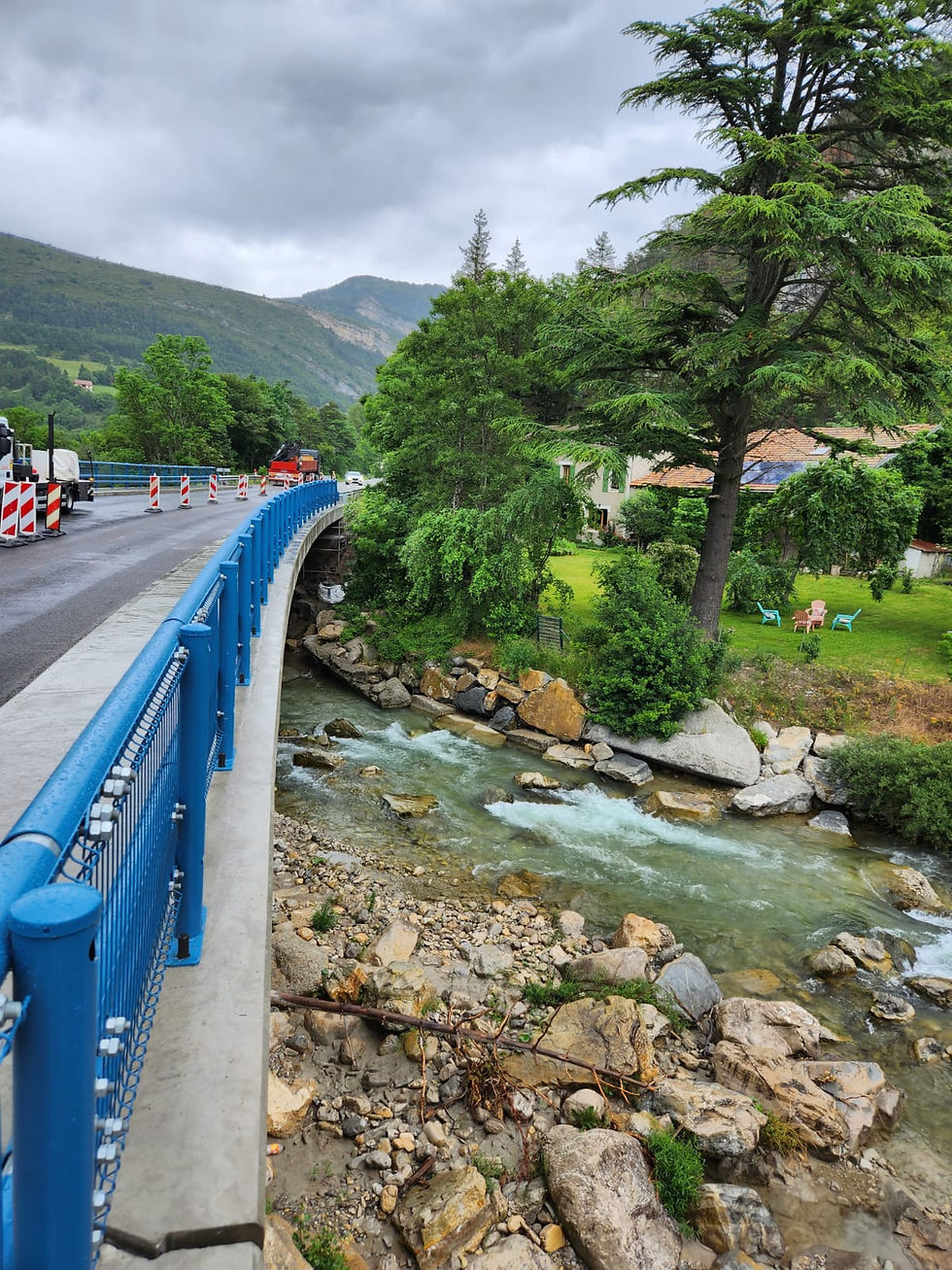 DESAMI GCDF N2 Pont Bleu (7)