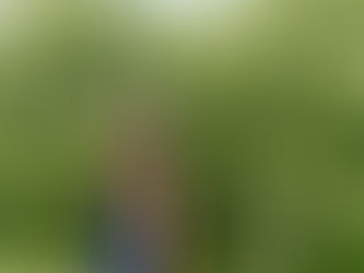 MEMBER OF THE MONTH SPOTLIGHT