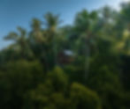 BIRD HILLS BALI
