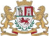 opstinakotorlogo.png
