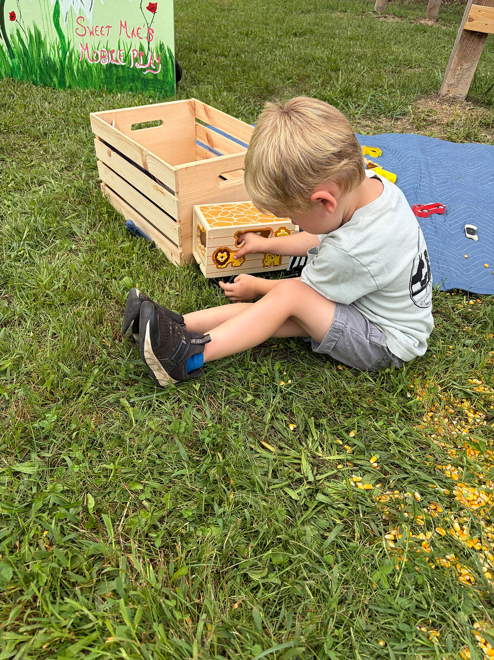 animal truck kid playing.jpeg