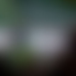 Coming together for transformation at scale