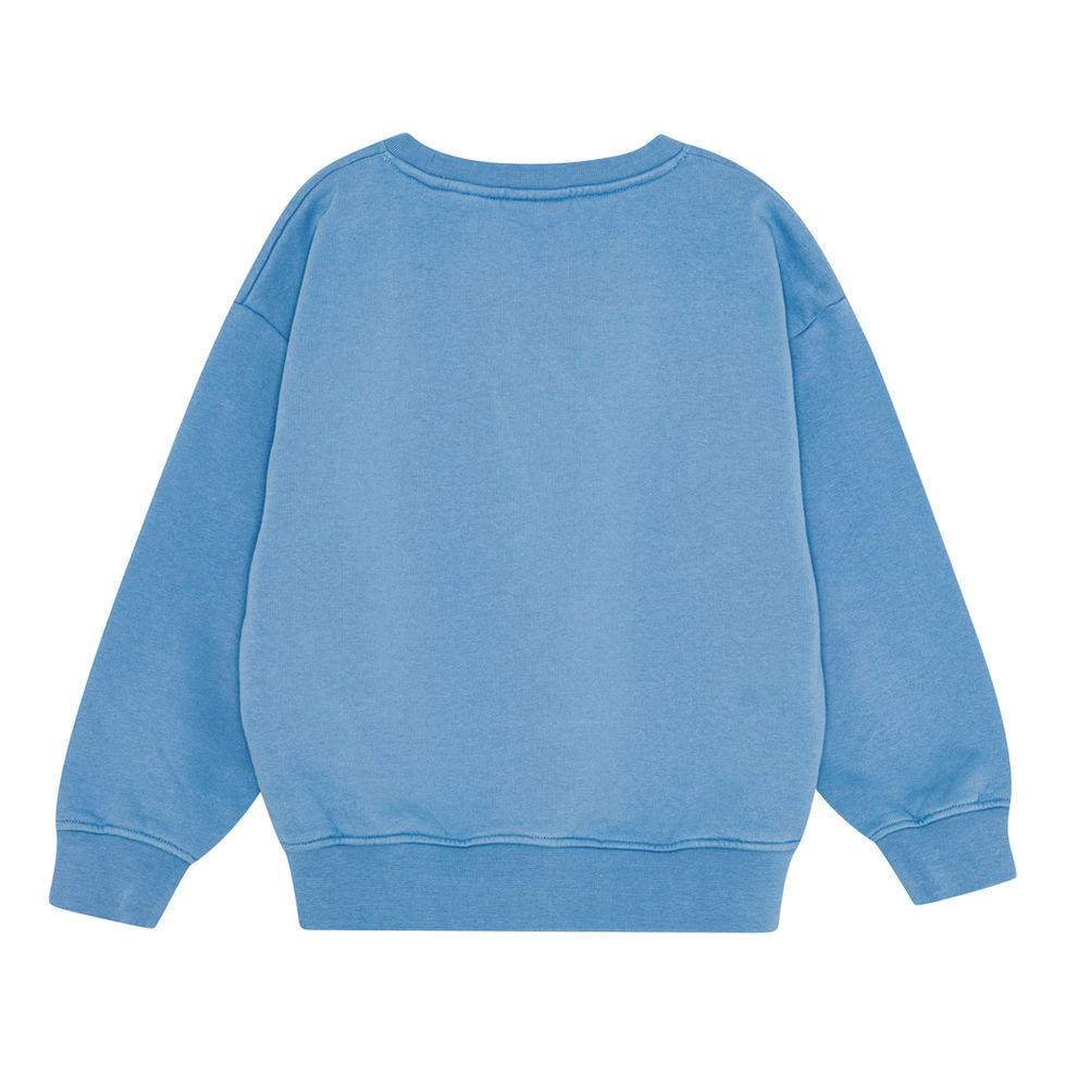 Back view of a blue children’s sweatshirt with a relaxed fit and ribbed hem