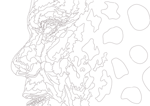 sketch1657814419785.png
