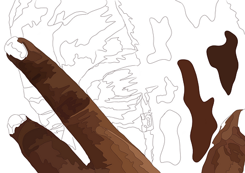 sketch1659358689747.png