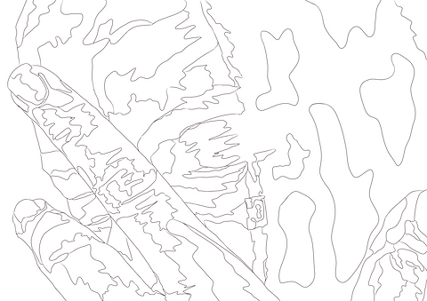 sketch1659358689745 (1).png