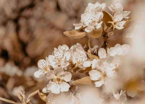 Spring Cleaning for the Mind: “Decluttering” Your Mental Health