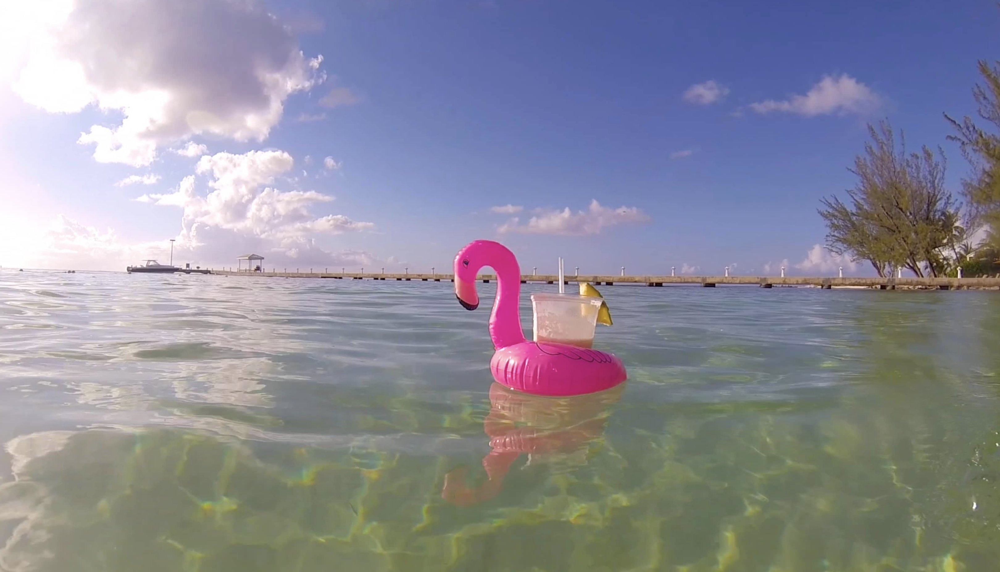 #SharpBeat 161: Pink Flamingo