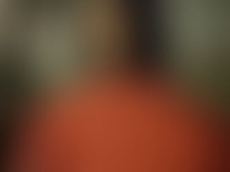 La diplomazia nell'età di Lorenzo Il Magnifico - II Parte