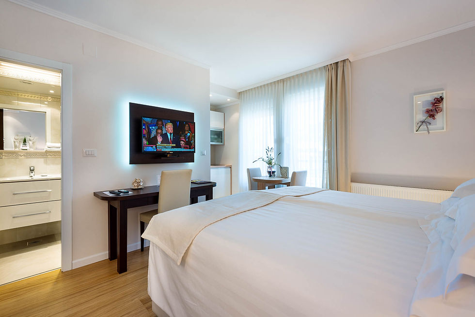 deluxe studio suite.jpg