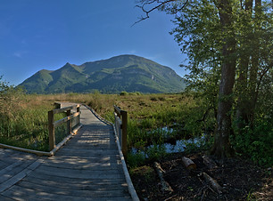 pilotis-paysage-reserve-naturelle-marais