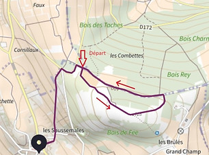 20240316_BoisdeFée-Plan.jpg