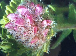 image2.jpeg