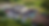 Tractor Run Website Banner (3).png