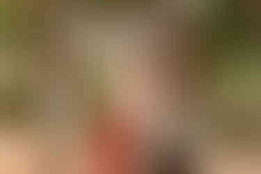 cérémonie laïque mariage domaine de la Téoulière