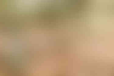 Mariage à la Bastide Rouge