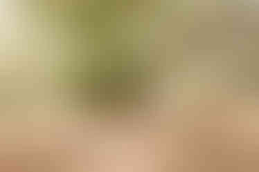 Mariage à la Bastide Rouge