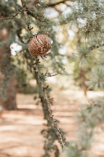 Mariage à la Bastide Rouge