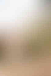 Mariage à la Bastide Rouge